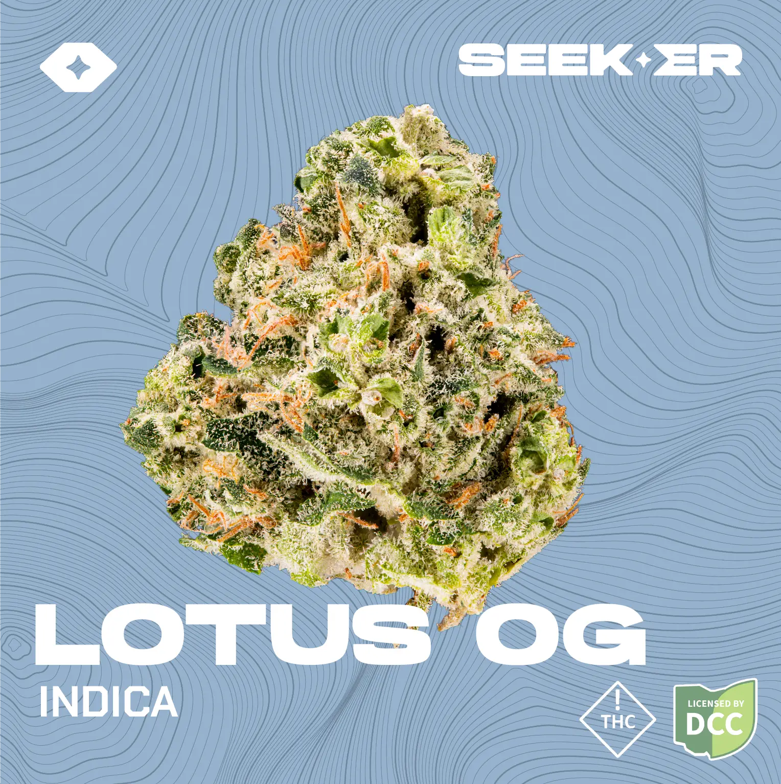 Lotus OG strain