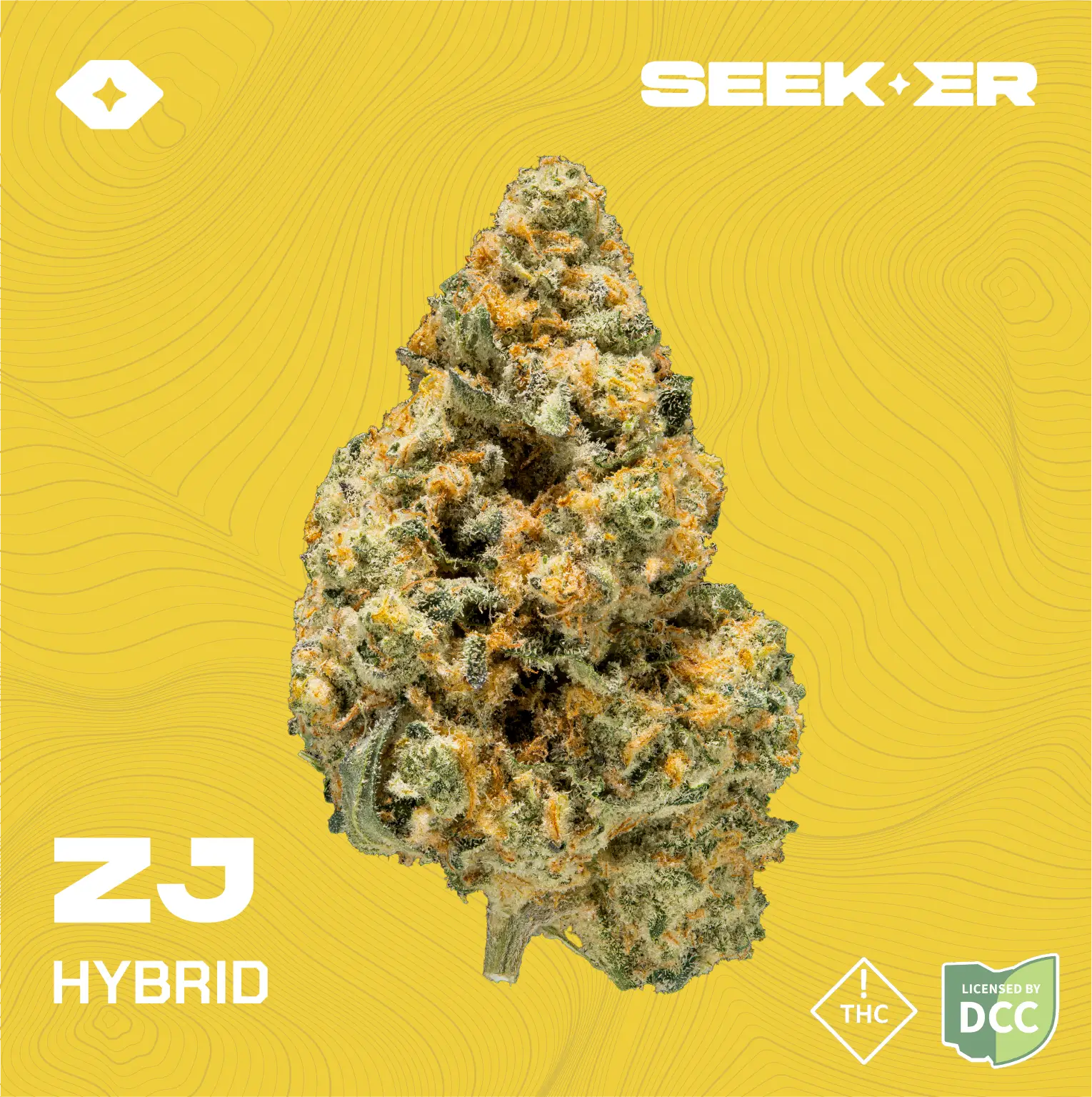 ZJ strain